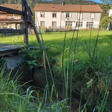 Bel Appartement Dans Une Ferme Vosgienne Xonrupt-Longemer Exterior photo