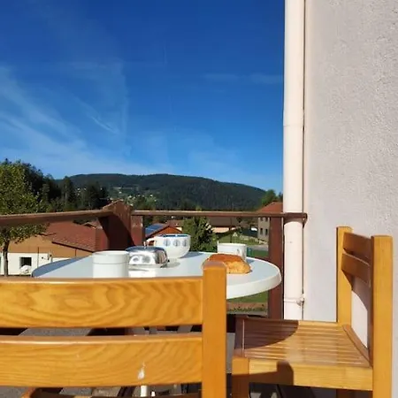 Bel Appartement Dans Une Ferme Vosgienne Xonrupt-Longemer Exterior photo